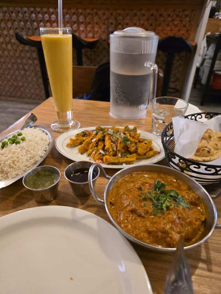 Jackson Diner Indian Cuisine: One of My Favorite Chicken Biryanis in Jackson Heights