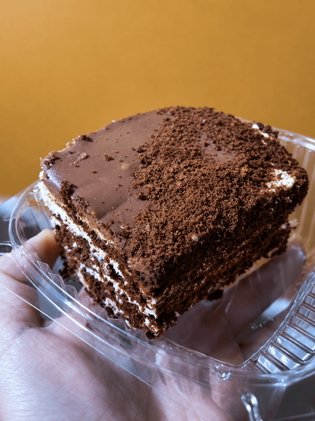 A person holding a clear plastic takeout container containing a thick slice of traditional nine-layer chocolate Spartak cake topped with fine cocoa cookie crumbs.